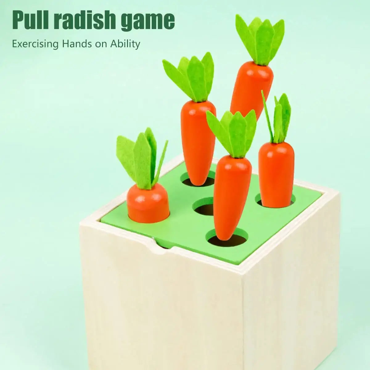 Multi-Sensory Montessori Learning Box for Kids: Carrot harvest, shape sorter, catch fish, hammer ball, catch worm