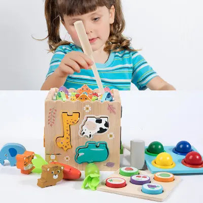 8-in-1 Montessori Wooden Activity Cube