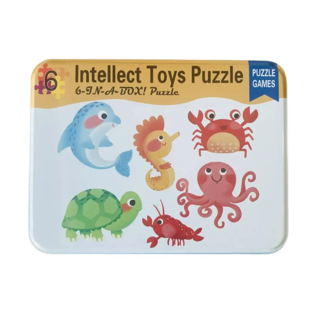 Intellect 6 in a box toy puzzle- ocean theme