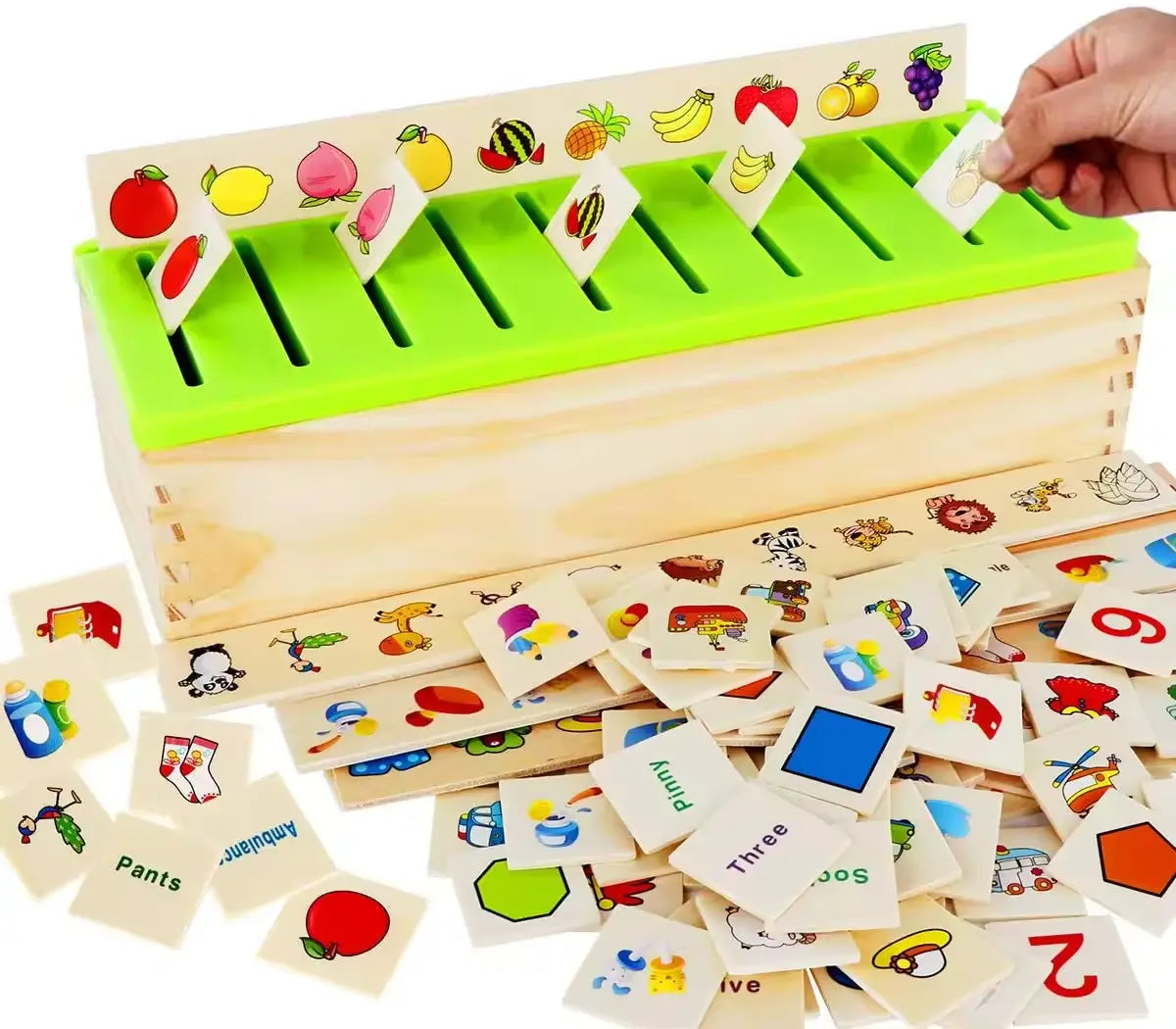 Montessori Wooden Knowledge Classification Box
