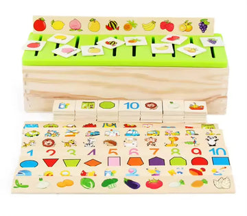 Montessori Wooden Knowledge Classification Box