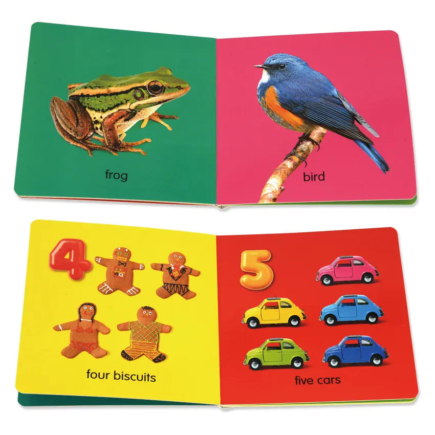 Little board book for tiny hands- 1pc