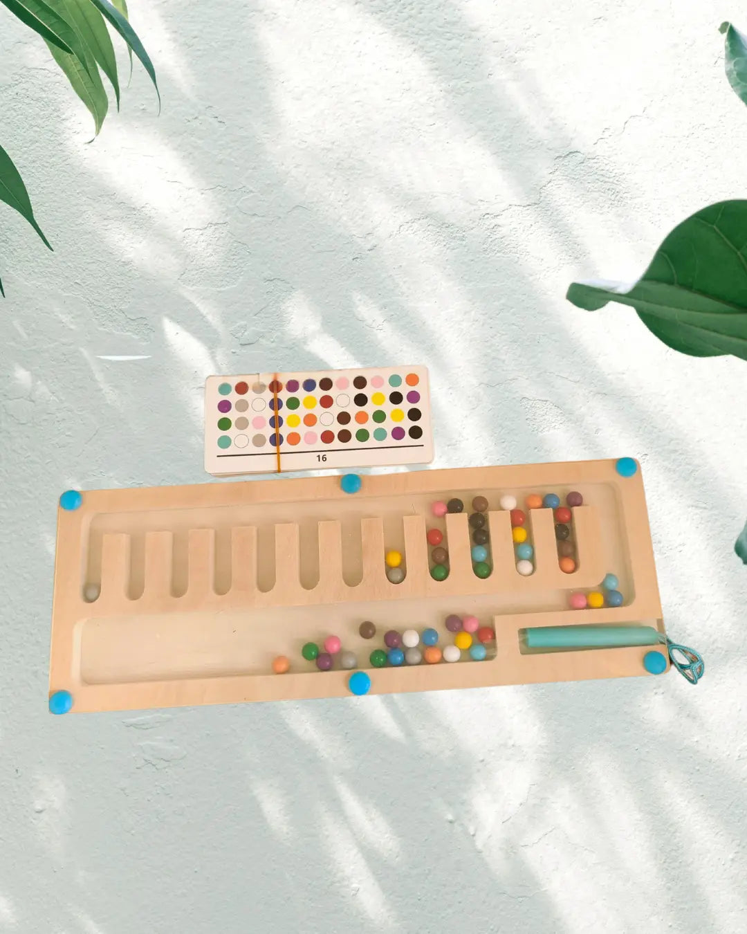 Magnetic 12 color