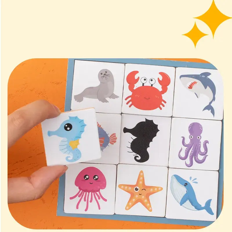 Shadow pairing game