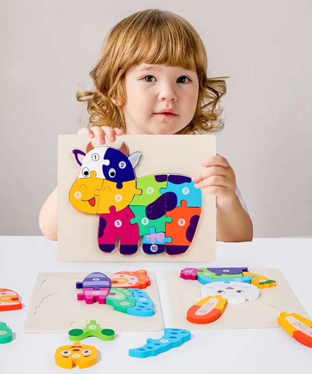 10 piece wooden puzzle