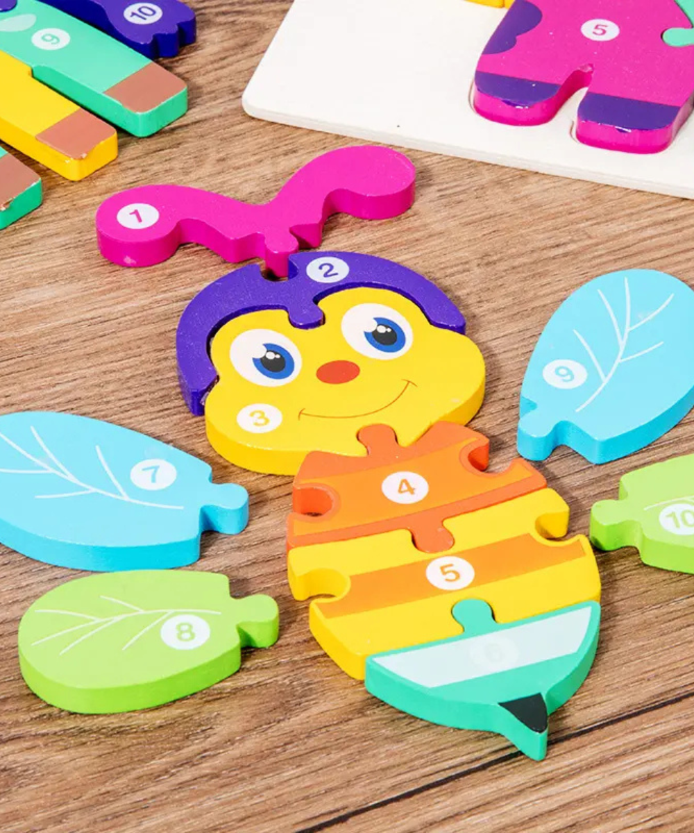 10 piece wooden puzzle