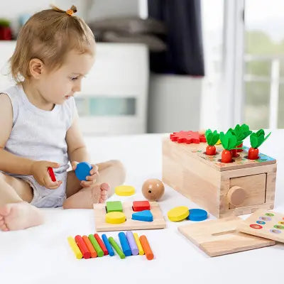 6 in 1 object box- Montessori wooden activity box