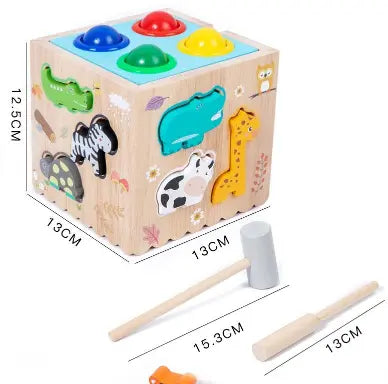 8-in-1 Montessori Wooden Activity Cube