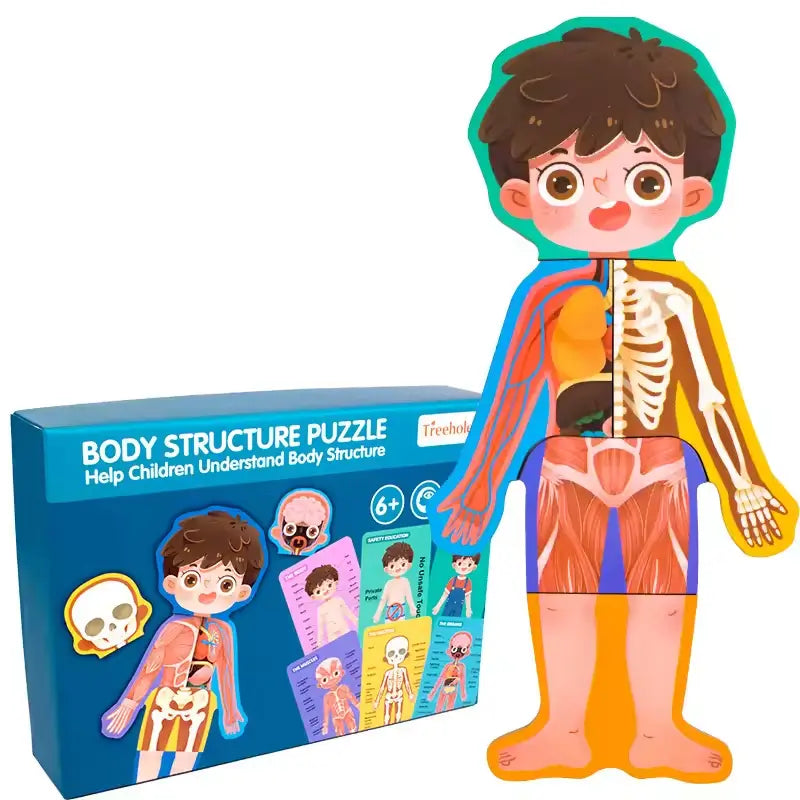 Wooden Body Structure and Skeletal Muscle Puzzle – Montessori Educational Learning Toy for Boys