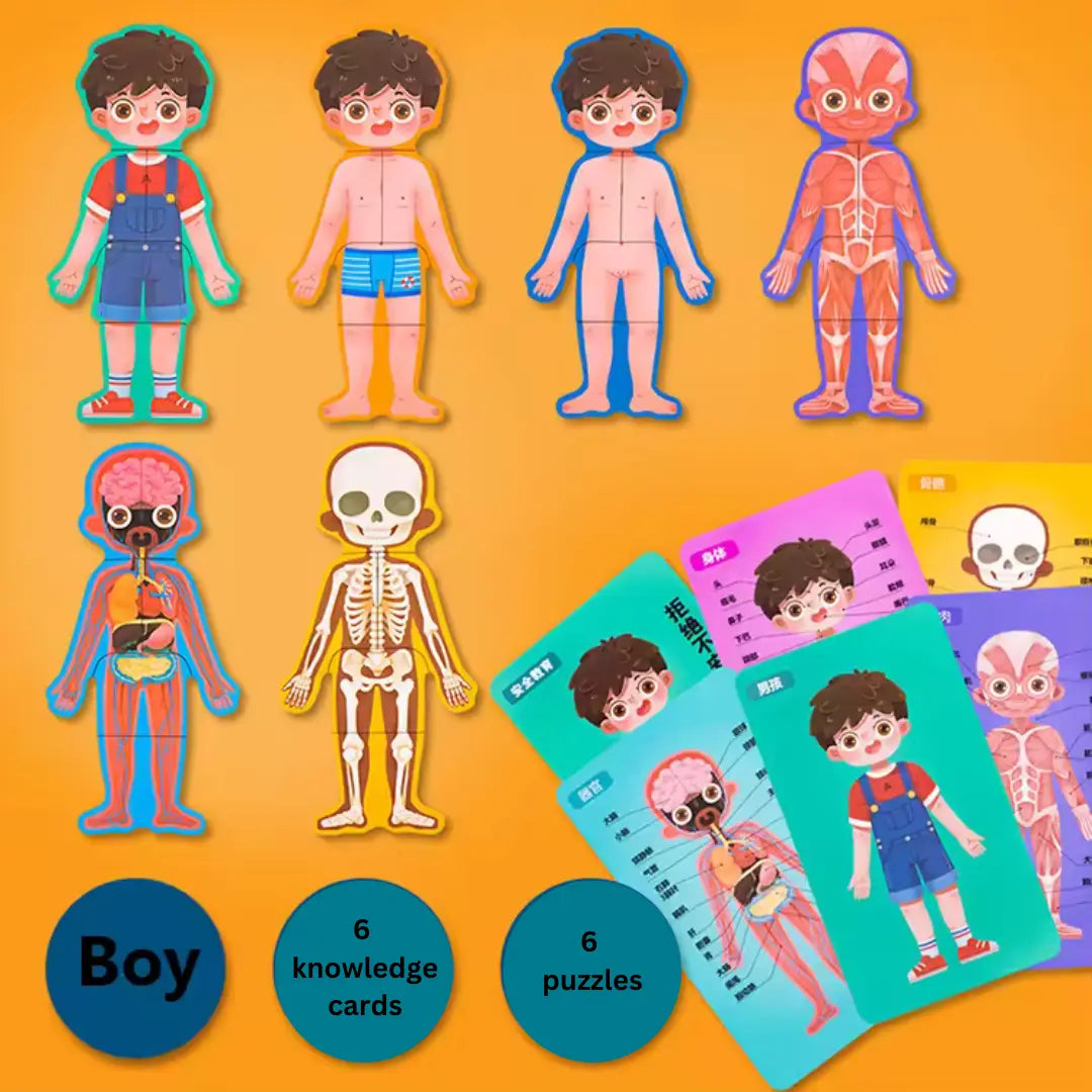 Wooden Body Structure and Skeletal Muscle Puzzle – Montessori Educational Learning Toy for Boys