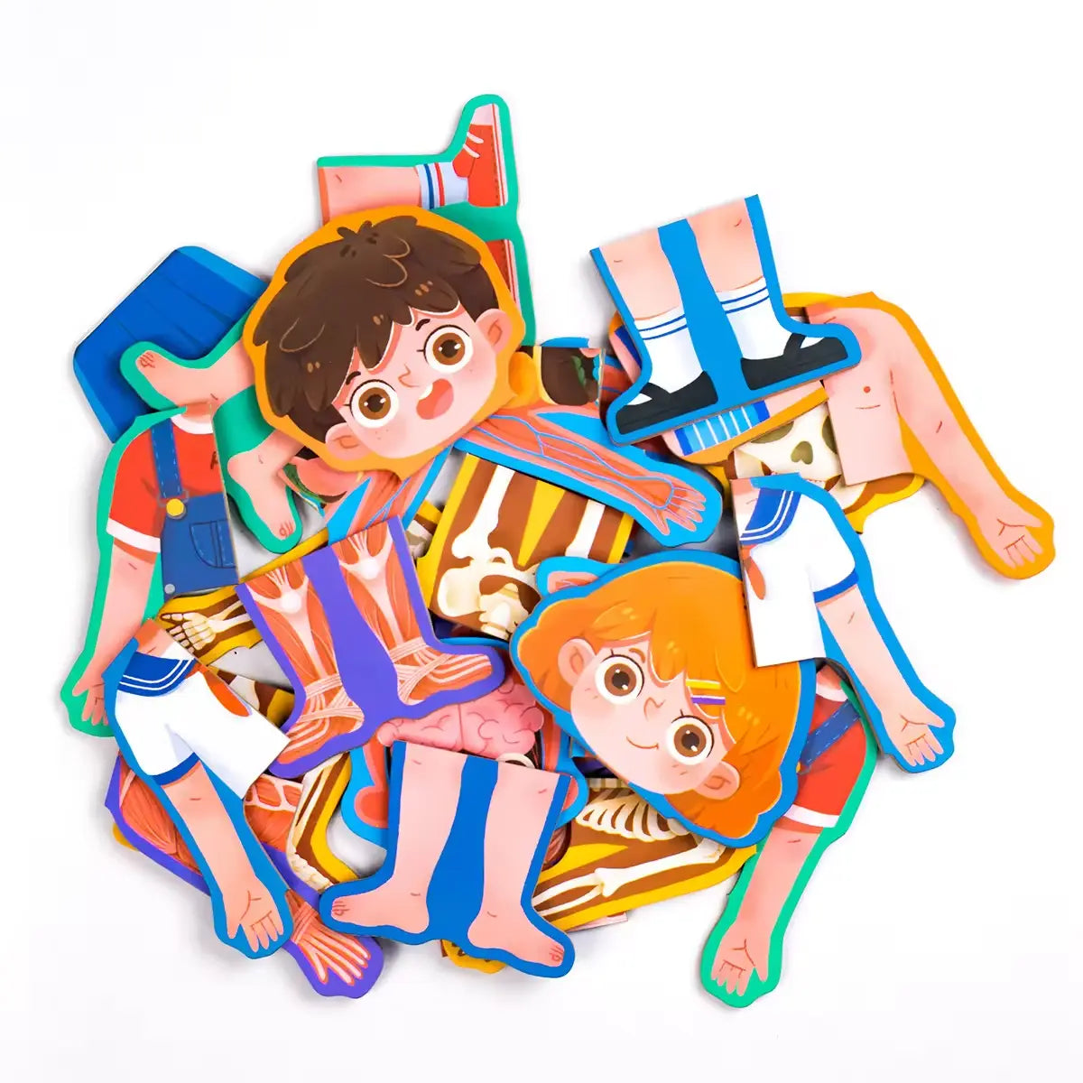 Wooden Body Structure and Skeletal Muscle Puzzle – Montessori Educational Learning Toy for Boys