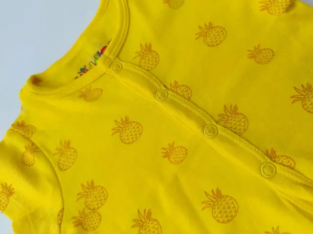 Solo green bear with Lemony kangroos and pineapples Jhablas- (Pack of 3)