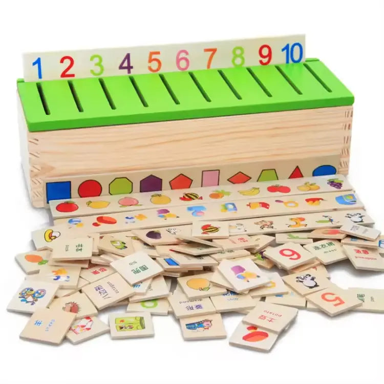 Montessori Wooden Knowledge Classification Box
