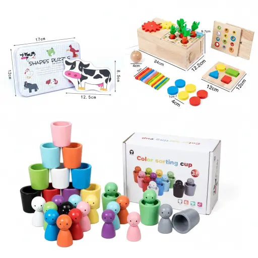 🌈 Learn & Play Discovery Combo – Sort, Match & Explore