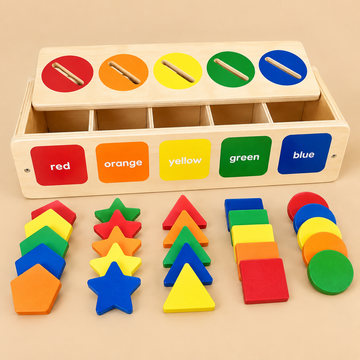 Shape & Color Sorter Learning Box